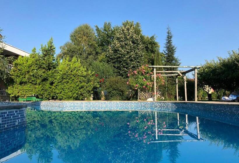 Hotel Galeria In The Garden