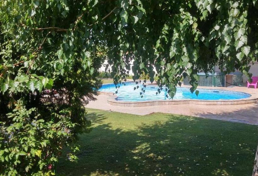 Hotel Galeria In The Garden