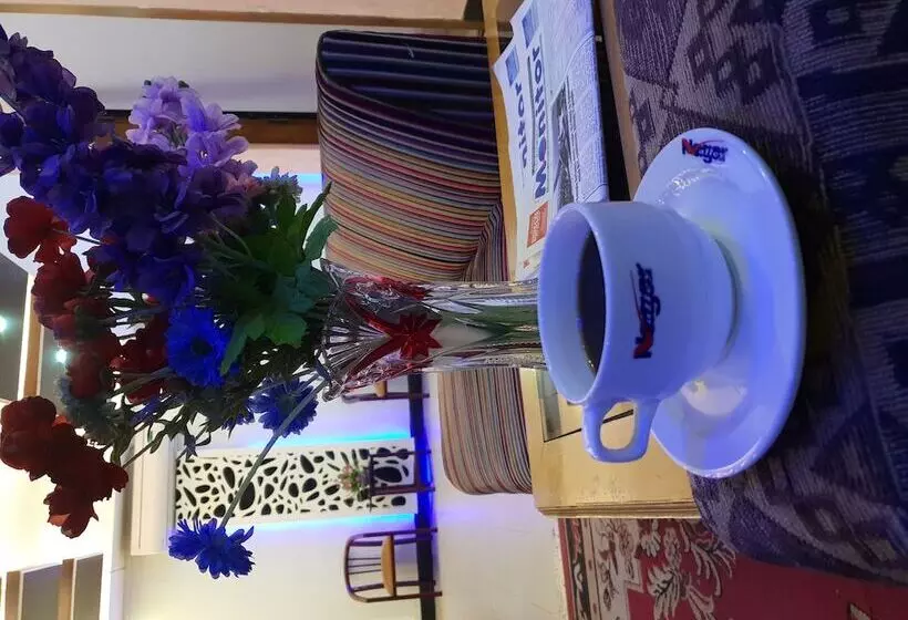 Nagar Valley Hotel Ltd