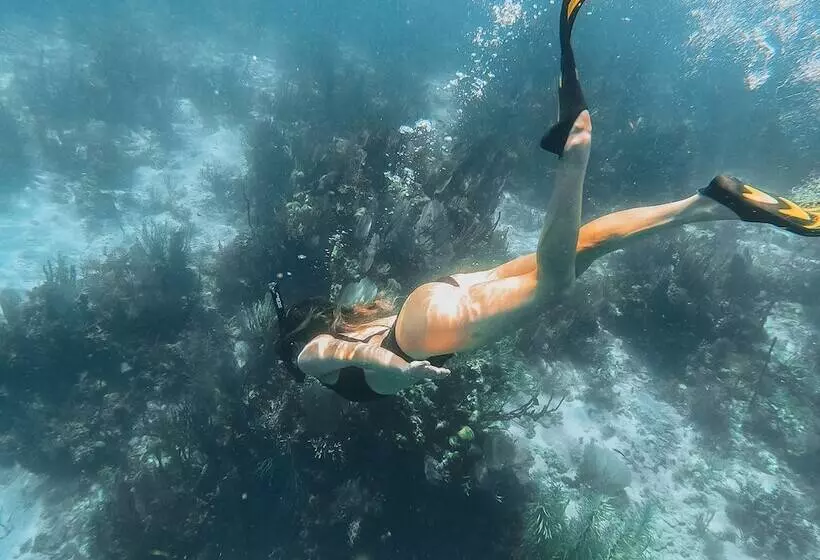 Hotelli Naia Resort And Spa