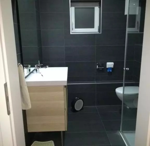 ホテル Neue Saliterei Ferienhaus