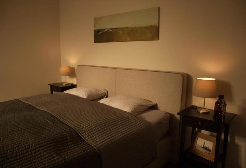 酒店 Neue Saliterei Ferienhaus