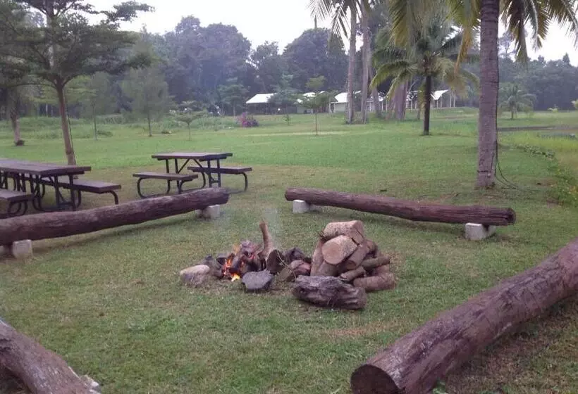 ホテル Phuket Campground