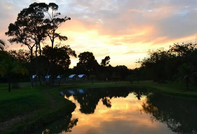 ホテル Phuket Campground