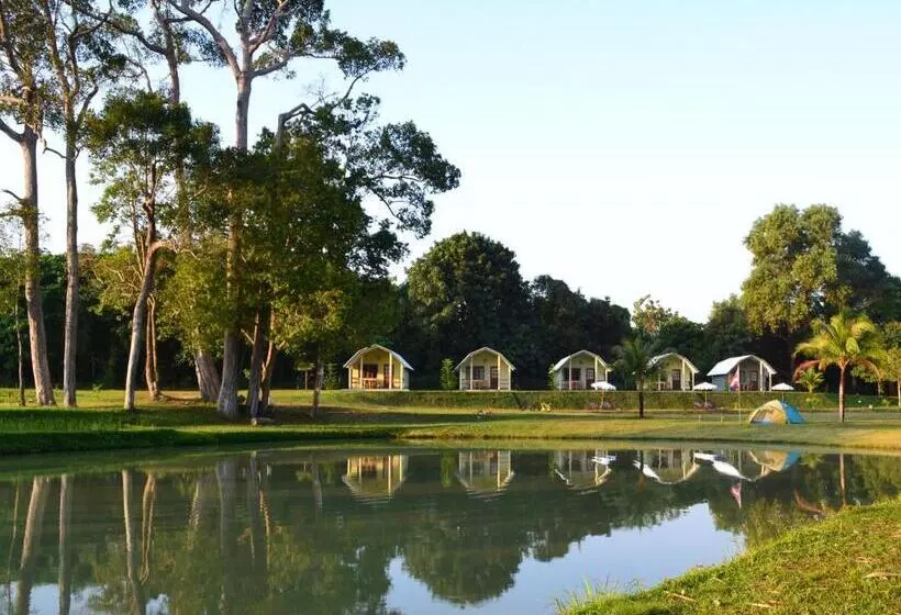 ホテル Phuket Campground
