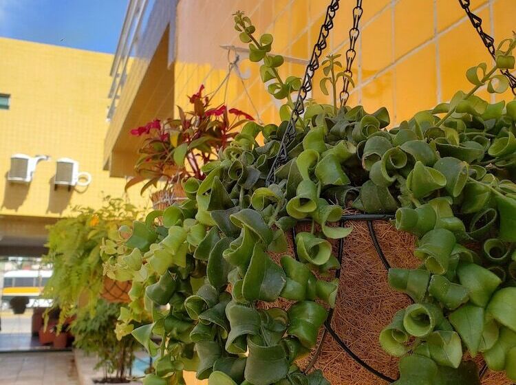 هتل Pousada Residência Dos Sonhos