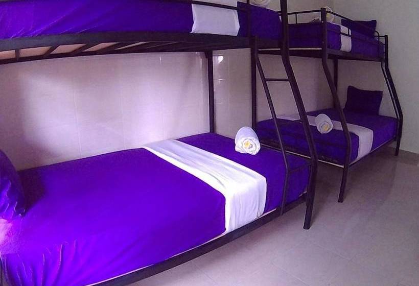 ホテル 24/7 Bed & Breakfast