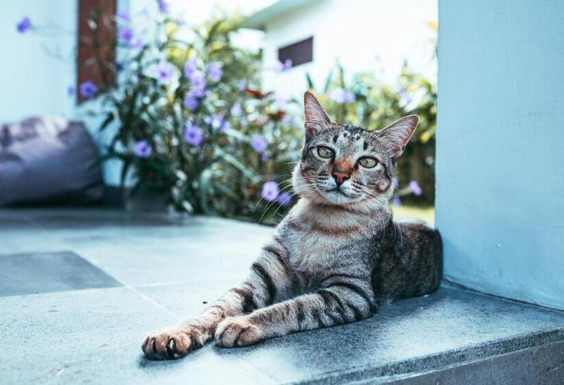 Hotel Bali Mynah Villas Resort