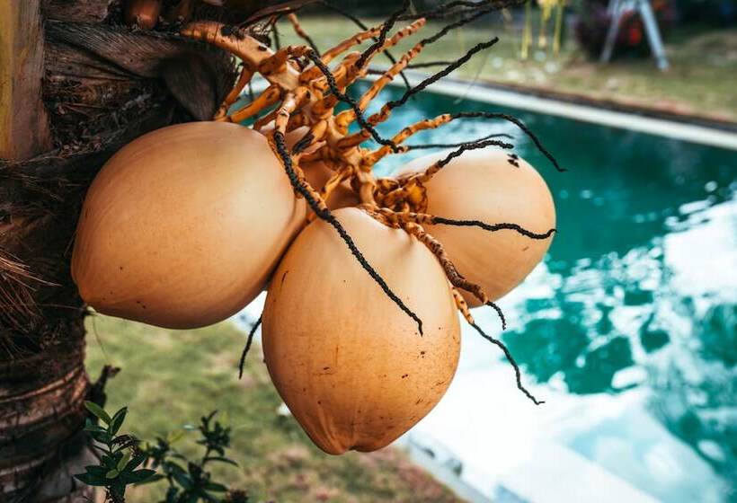 Hotel Bali Mynah Villas Resort