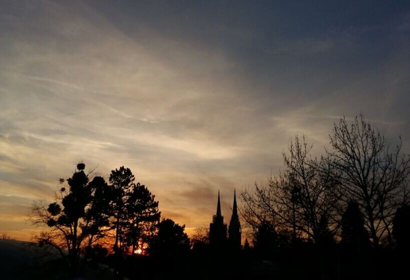 ホテル Hostel Poolside