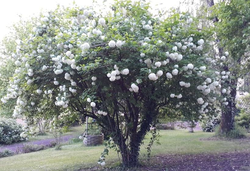 Hotel Chambres D Hotes Aux Trois Sources