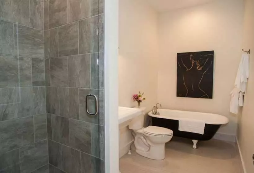 هتل Dinsmore Boutique Inn
