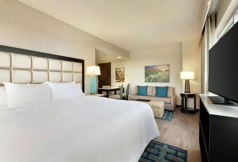 هتل Embassy Suites By Hilton San Antonio Landmark