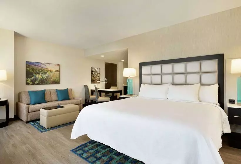 هتل Embassy Suites By Hilton San Antonio Landmark