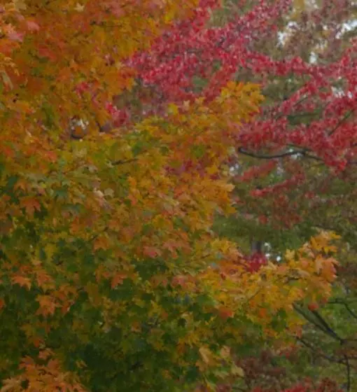 Hotelli Inn Victoria