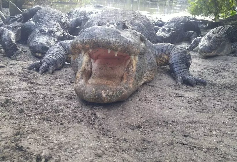 ホテル Kapp And Kappy B&b