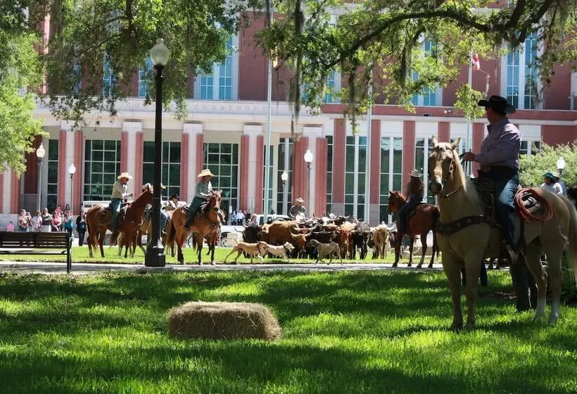 ホテル Kapp And Kappy B&b