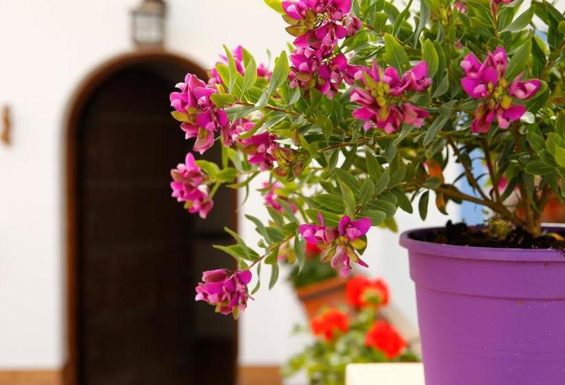 هتل La Casa Del Rio