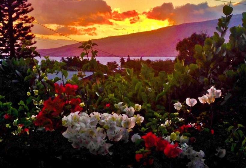 בית מלון כפרי Ocean Breeze Hideaway