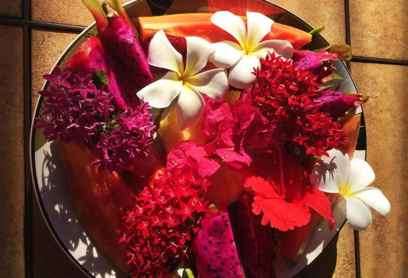 בית מלון כפרי Ocean Breeze Hideaway