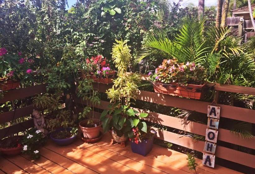 בית מלון כפרי Ocean Breeze Hideaway