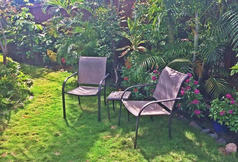 בית מלון כפרי Ocean Breeze Hideaway