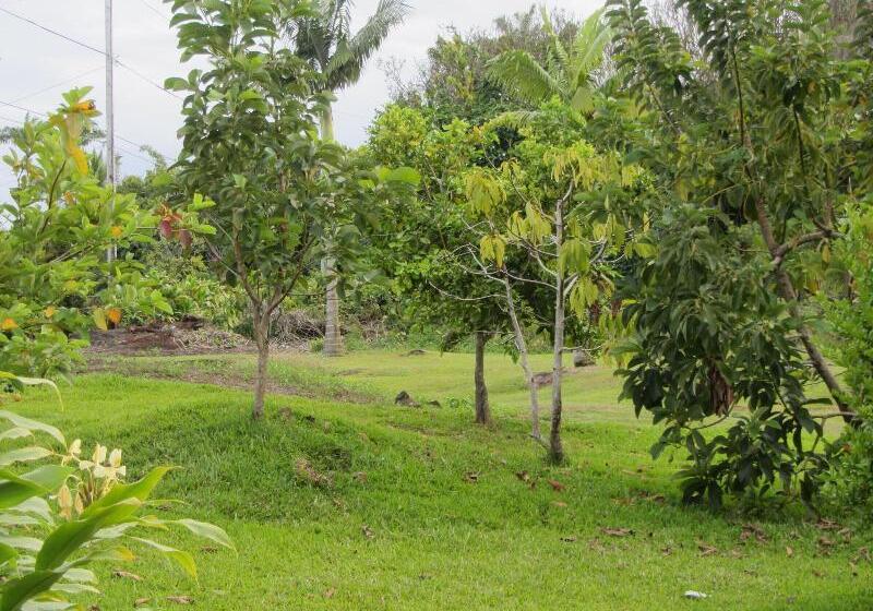 فندق Old Hawaiian Bed And Breakfast