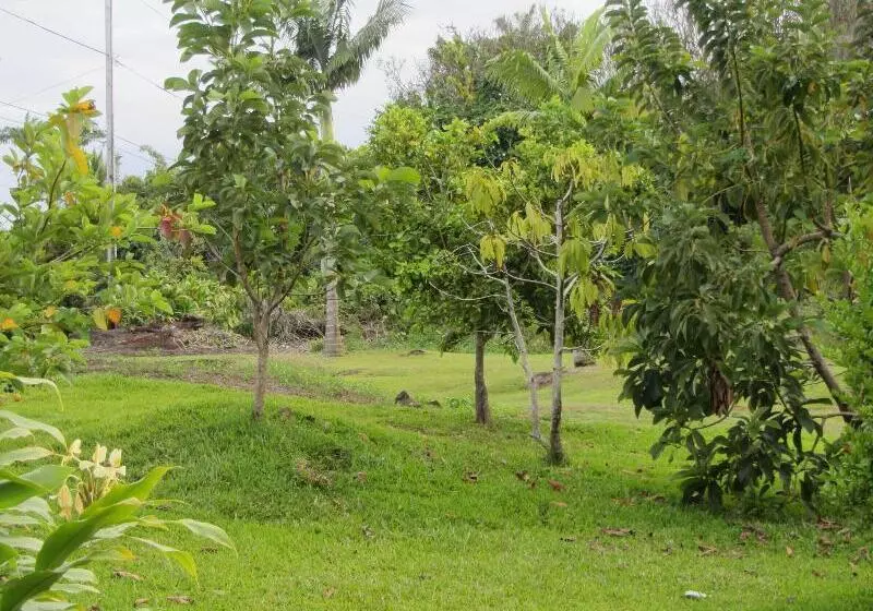 هتل Old Hawaiian Bed And Breakfast