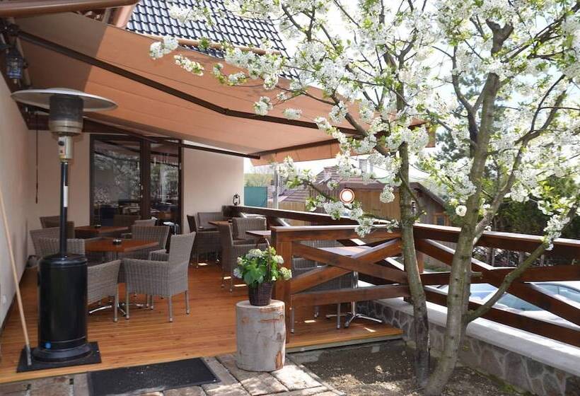 酒店 Penzión Darinka