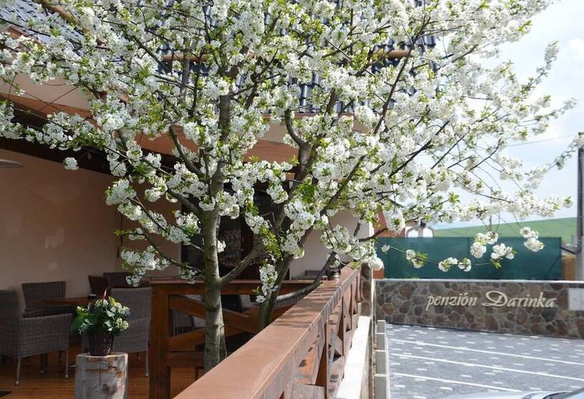 酒店 Penzión Darinka