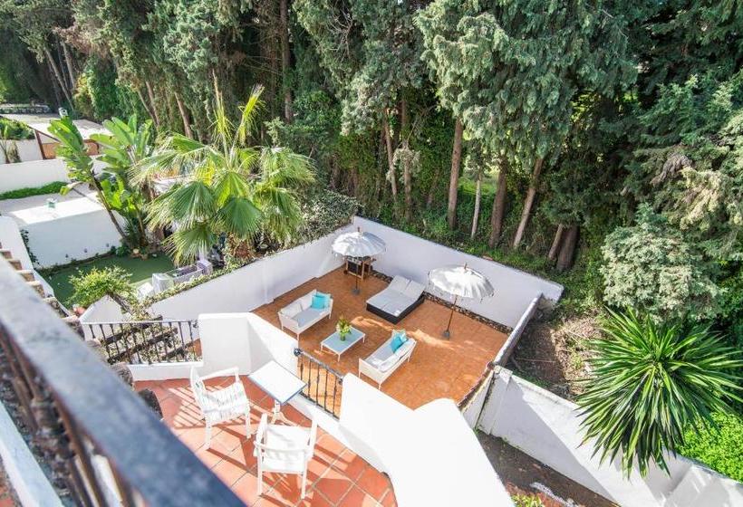 Отель Townhouse Los Naranjos