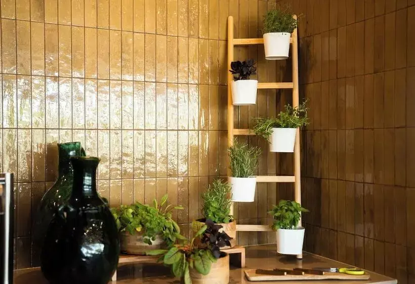 ホテル Castelo Suites