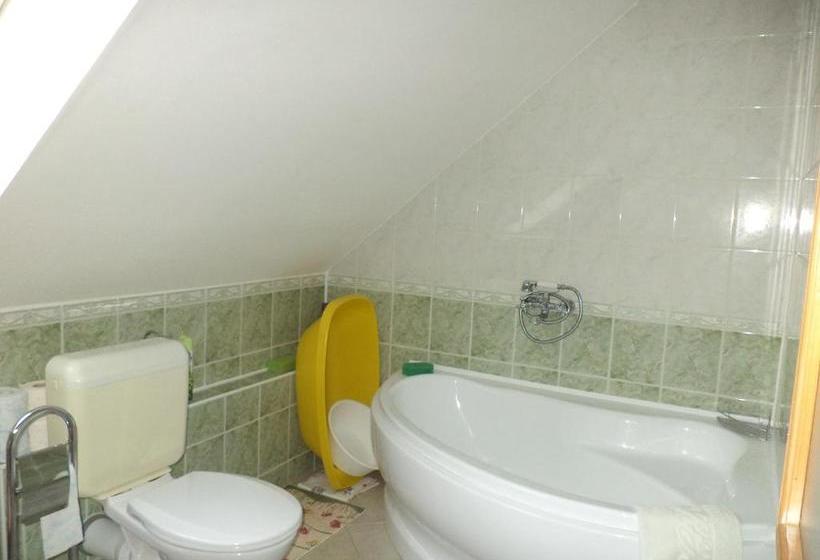 Отель Flora Apartman