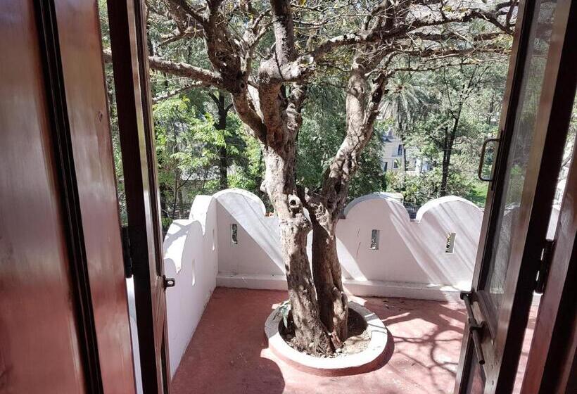 Отель Kesar Bhawan Palace