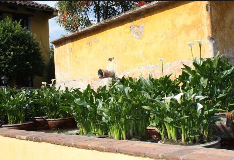 هتل Quinta De Las Flores