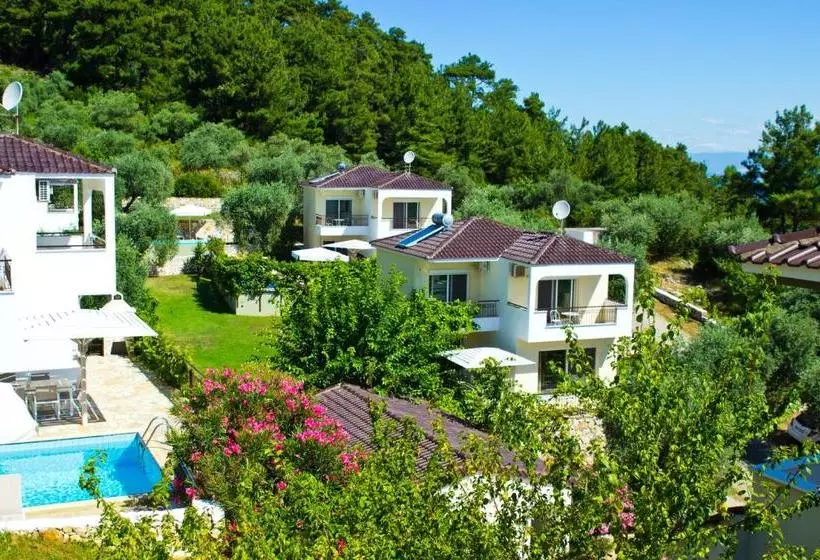 ホテル Thassian Villas