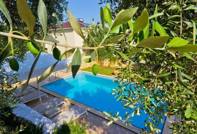 ホテル Thassian Villas