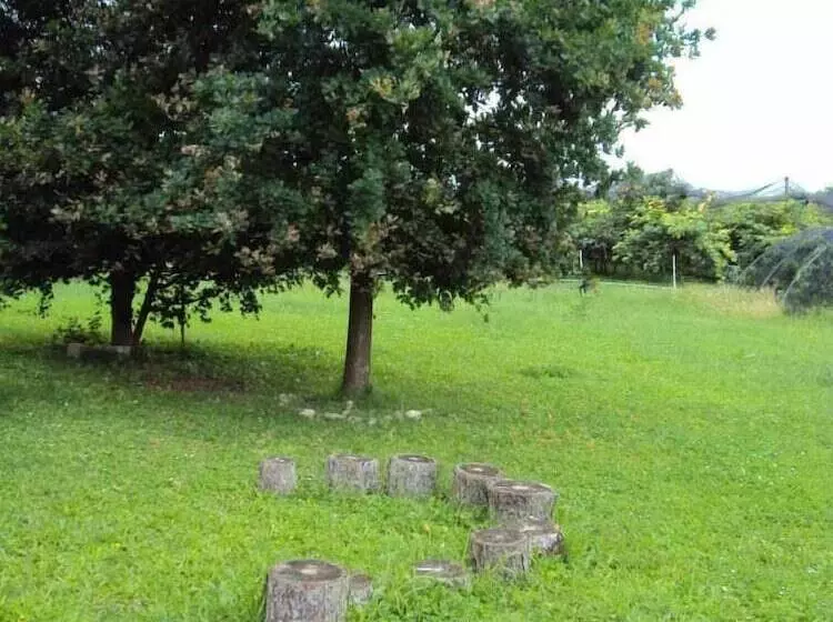 ホテル Agriturismo Ca  Del Ferro