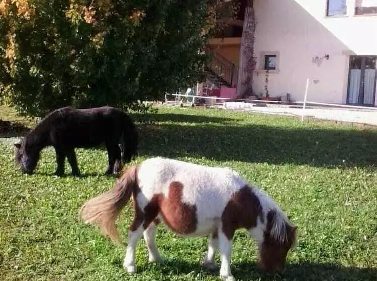 ホテル Agriturismo Ca  Del Ferro