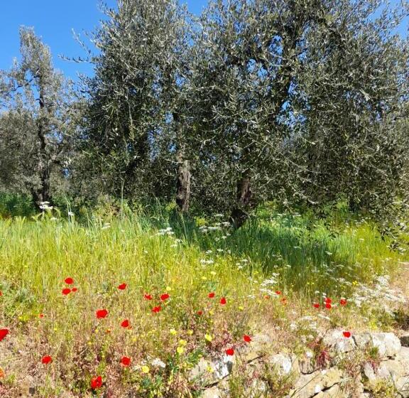 Hotel Antica Bottega Di Vinci