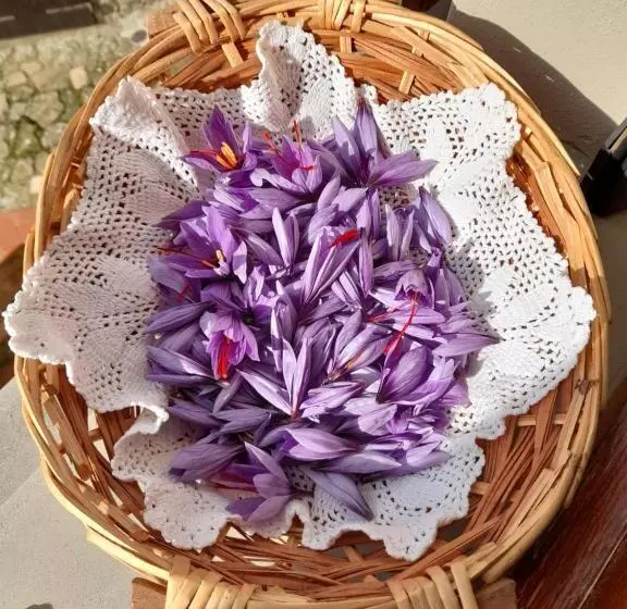 ホテル Antica Bottega Di Vinci