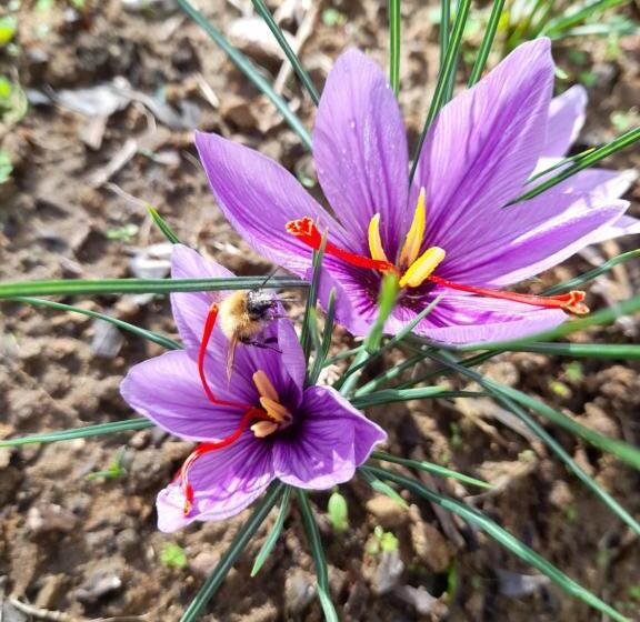 Hotel Antica Bottega Di Vinci