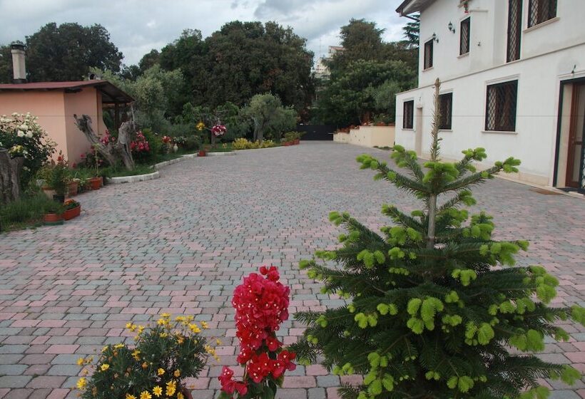 Hotel B&b La Terrazza Di Frascati