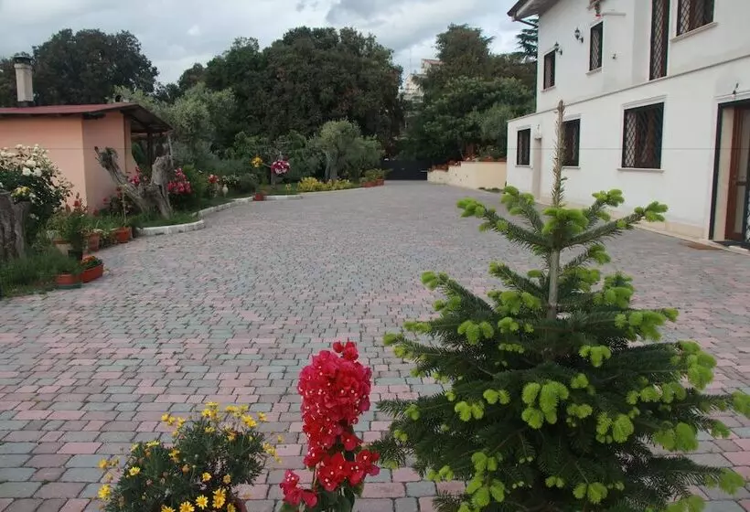 Hotelli B&b La Terrazza Di Frascati