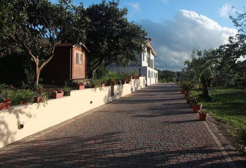 Hotel B&b La Terrazza Di Frascati