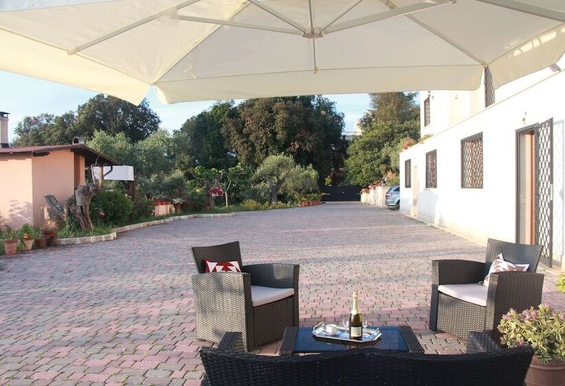 Hotel B&b La Terrazza Di Frascati