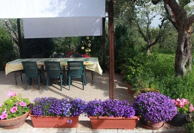 Hotelli B&b La Terrazza Di Frascati