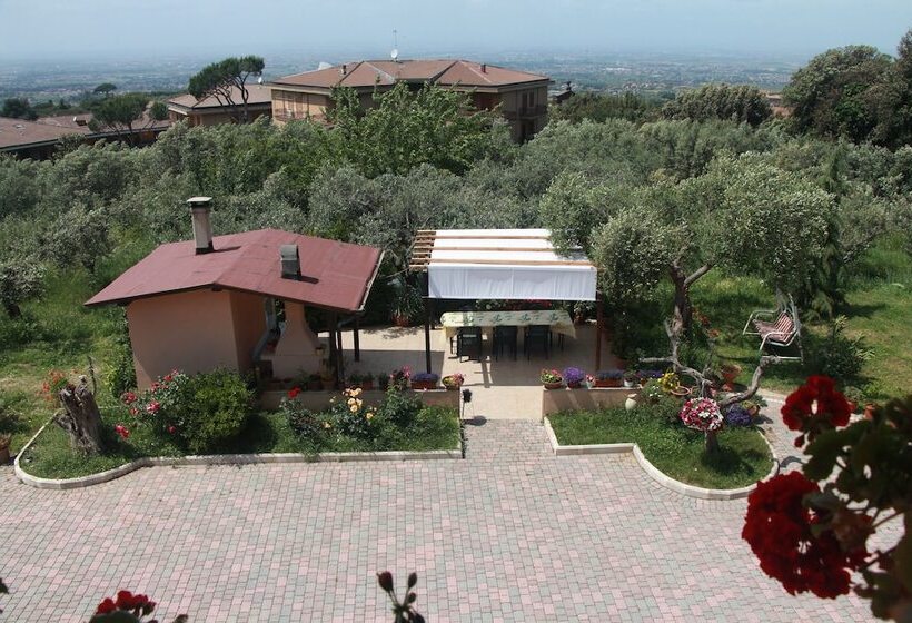 Hotel B&b La Terrazza Di Frascati