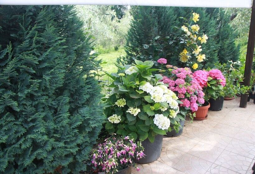 Hotel B&b La Terrazza Di Frascati