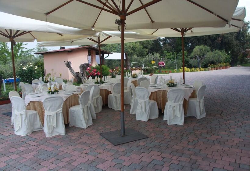 Hotel B&b La Terrazza Di Frascati